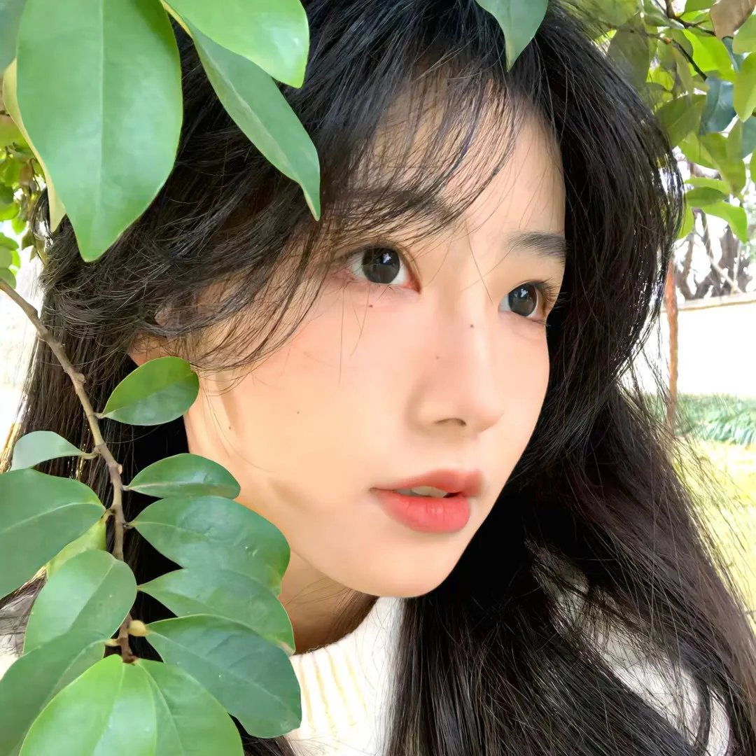 豹啸